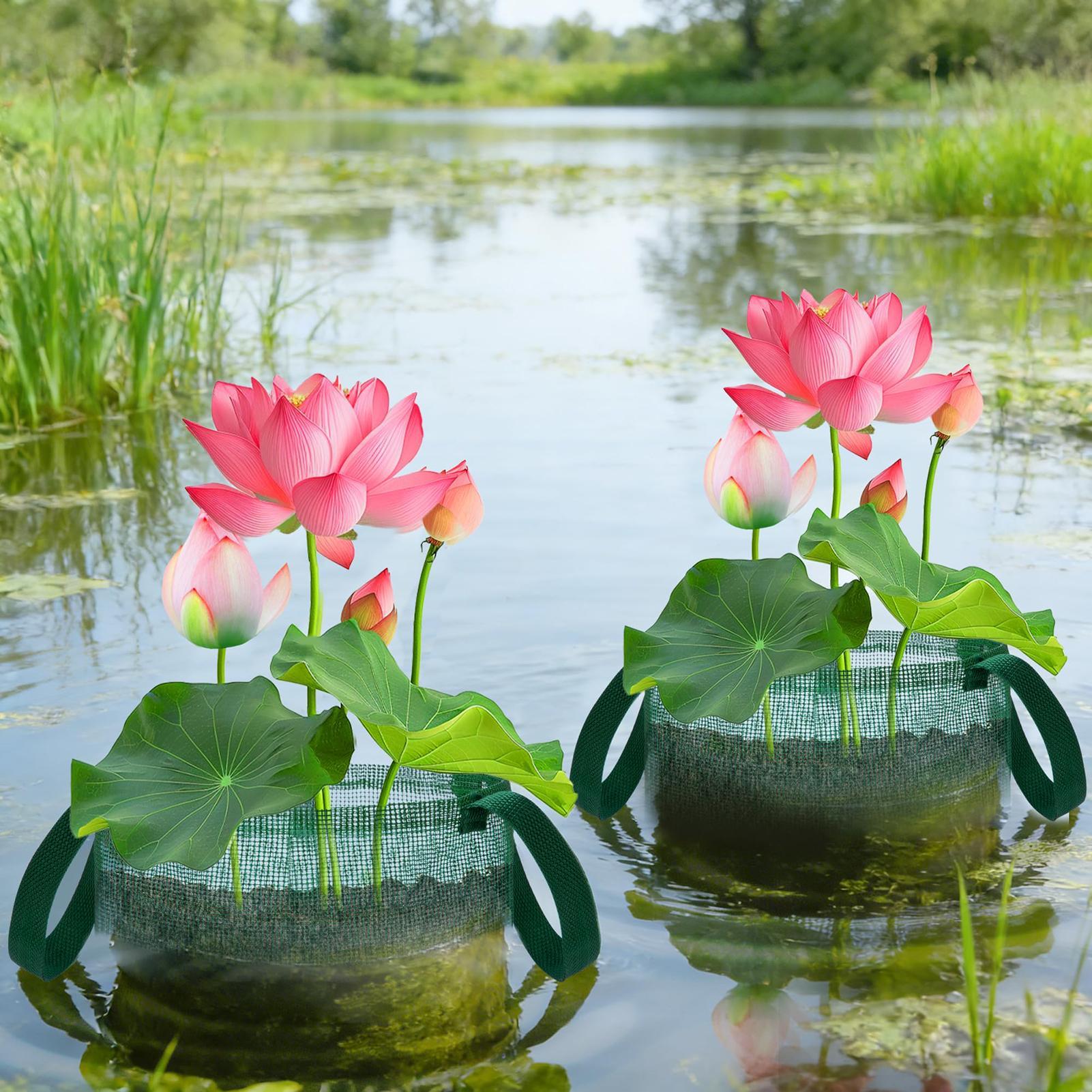 Bonsai Garden With Pond - Keranjang Kolam untuk Bonsai 4 Buah