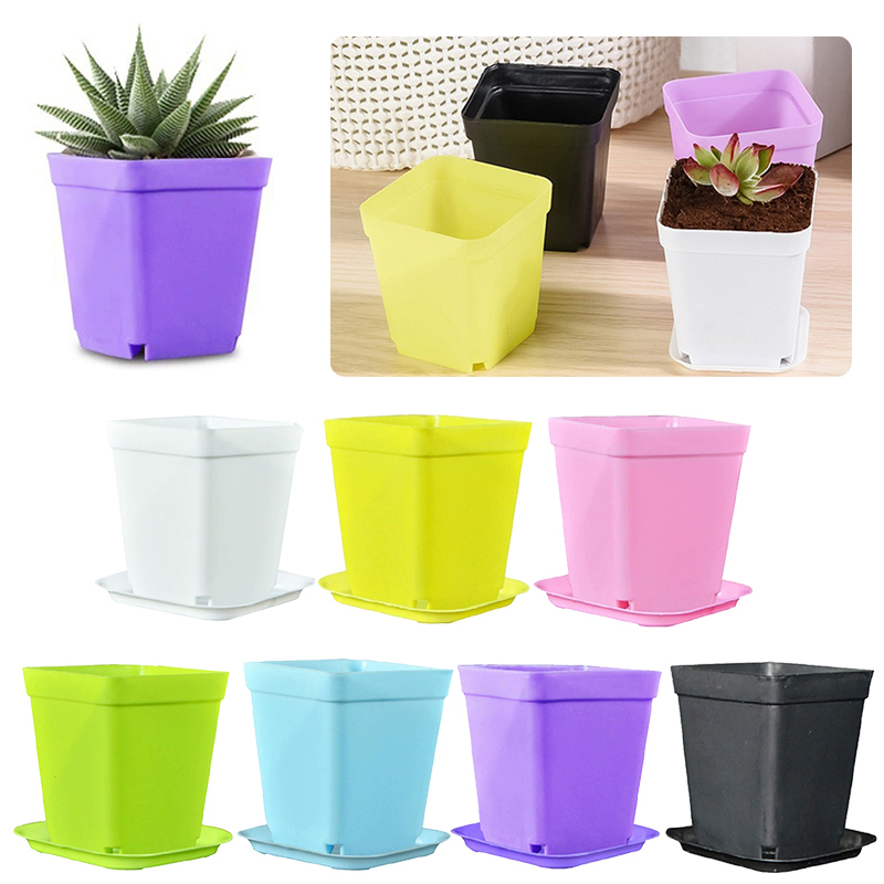 Bonsai Garden Indoor - 6/12/24PCS Pot Plastik Persegi Warna Acak