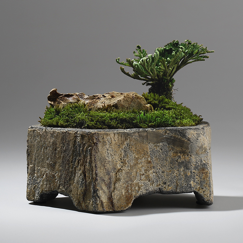 Pot Bunga Batu Alam Basalt Bua - Bonsai Garden Indoor ulasan dan harga
