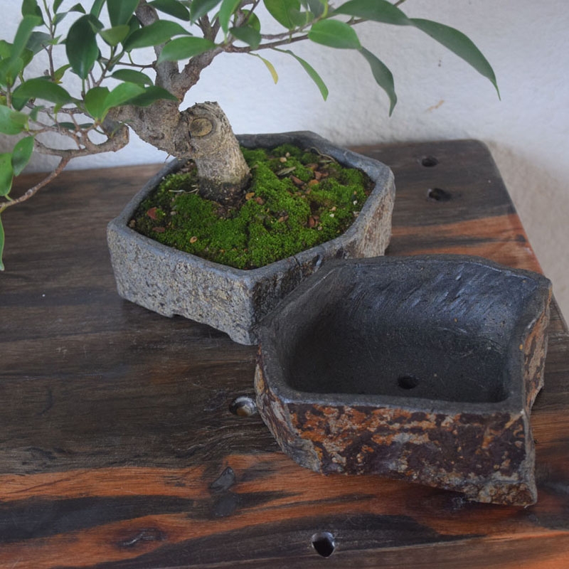 Pot Bunga Batu Alam Basalt Bua - Bonsai Garden Indoor ulasan dan harga