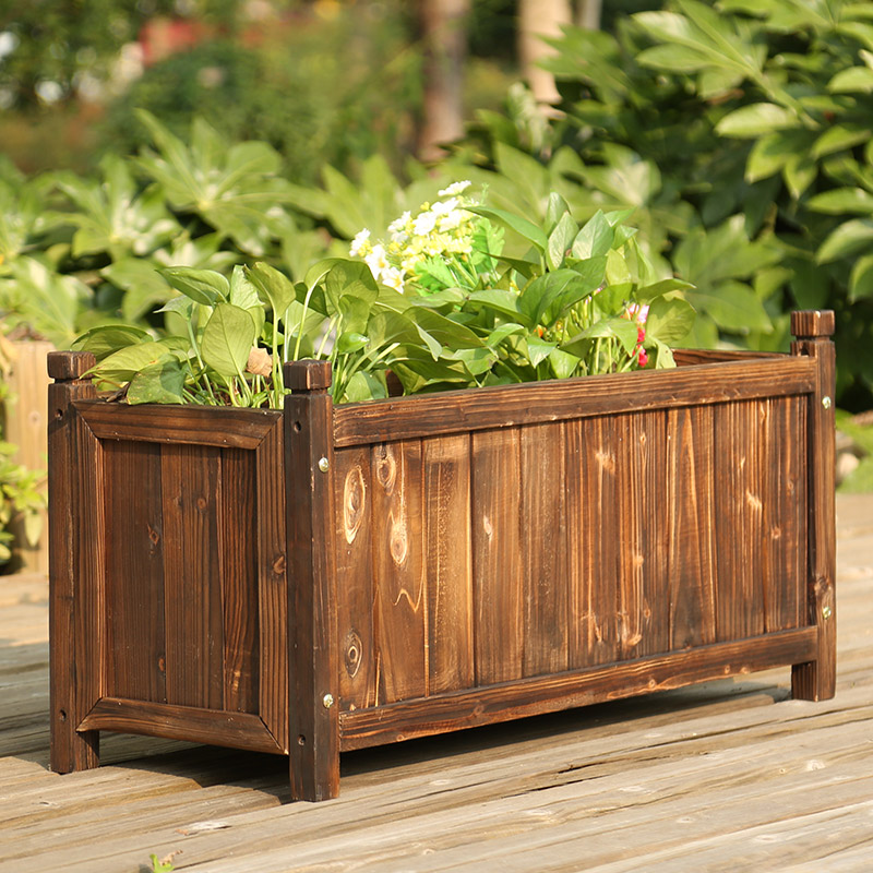 Membuat Balkon Taman Kecil Vil - Bonsai Garden Indoor ulasan dan harga