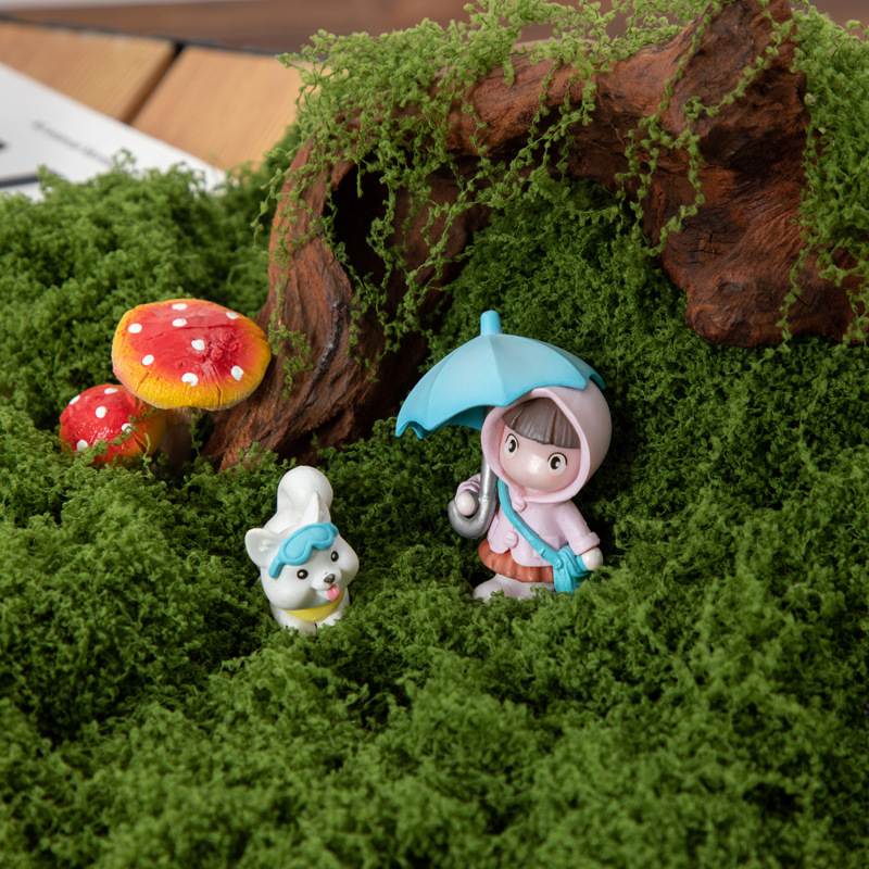 200G Rumput Lumut Kehidupan Ab - Bonsai Garden Ideas ulasan dan harga