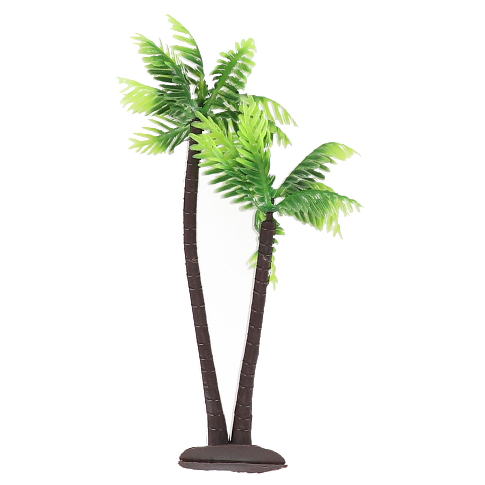 5 Buah Pohon Kelapa Mini untuk - Bonsai Garden Set Up ulasan dan harga