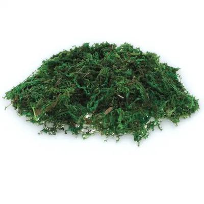 1 Pak Dekorasi Lumut Palsu Tam - Bonsai Garden Indoor ulasan dan harga
