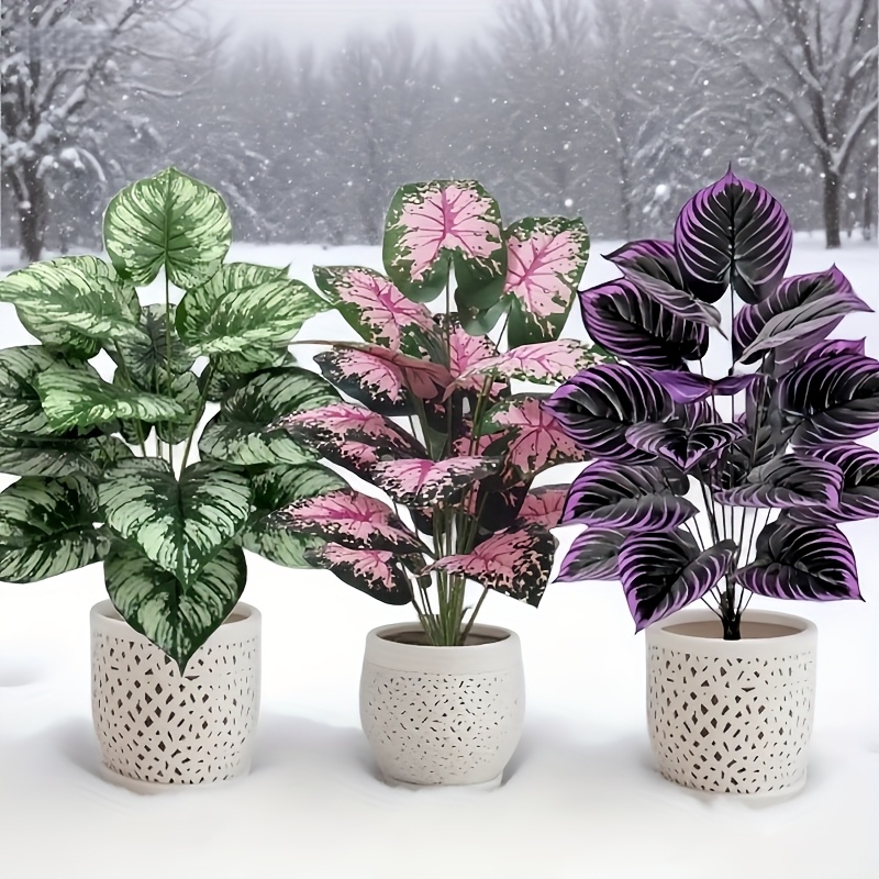 3 Buah 60Cm Set Tanaman Hijau  - Bonsai Garden Ideas ulasan dan harga