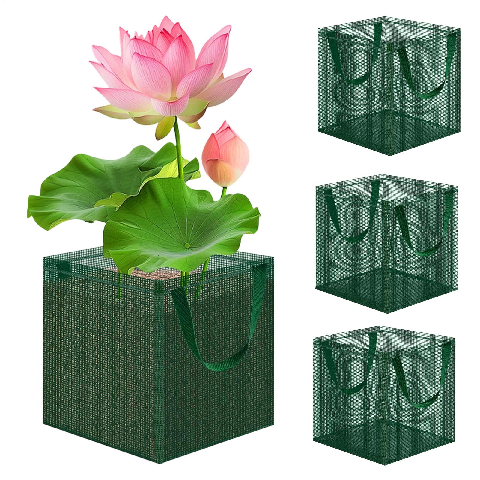 Keranjang Kolam untuk Bonsai 4 - Bonsai Garden With Pond ulasan dan harga