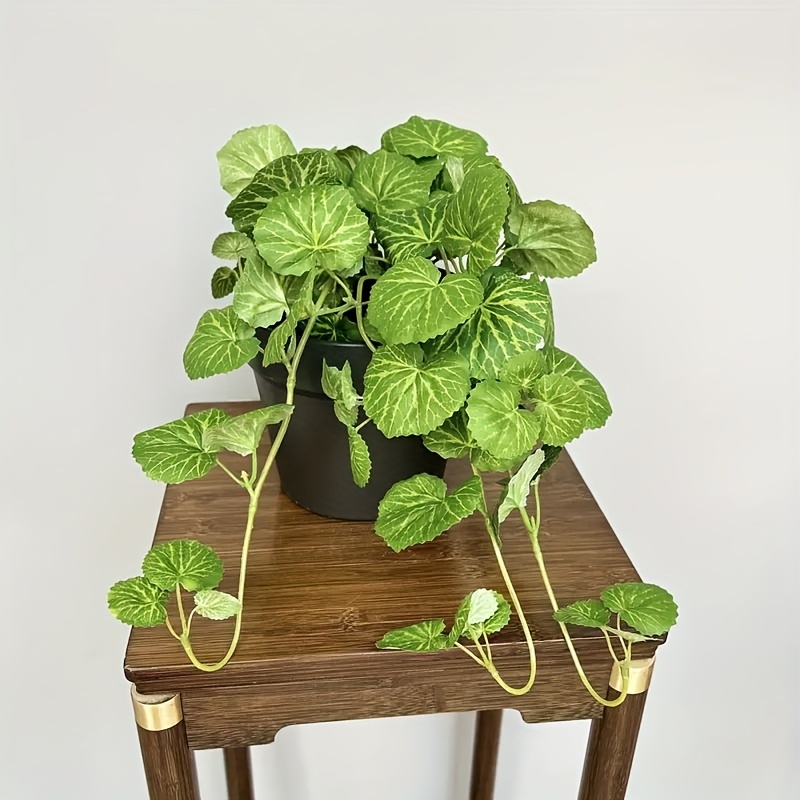 Tanaman gantung buatan, menamp - Bonsai Garden Ideas ulasan dan harga