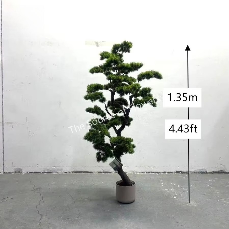 Pohon Cedar Pinus Buatan untuk - Bonsai Garden Indoor ulasan dan harga
