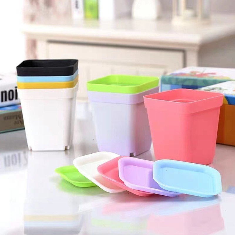 6/12/24PCS Pot Plastik Persegi - Bonsai Garden Indoor ulasan dan harga