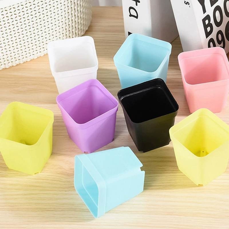 6/12/24PCS Pot Plastik Persegi - Bonsai Garden Indoor ulasan dan harga