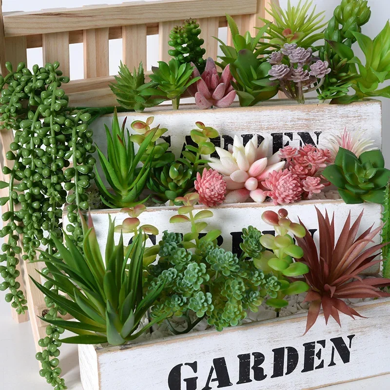 10/20 Buah Tanaman Sukulen PVC - Bonsai Garden Ideas ulasan dan harga